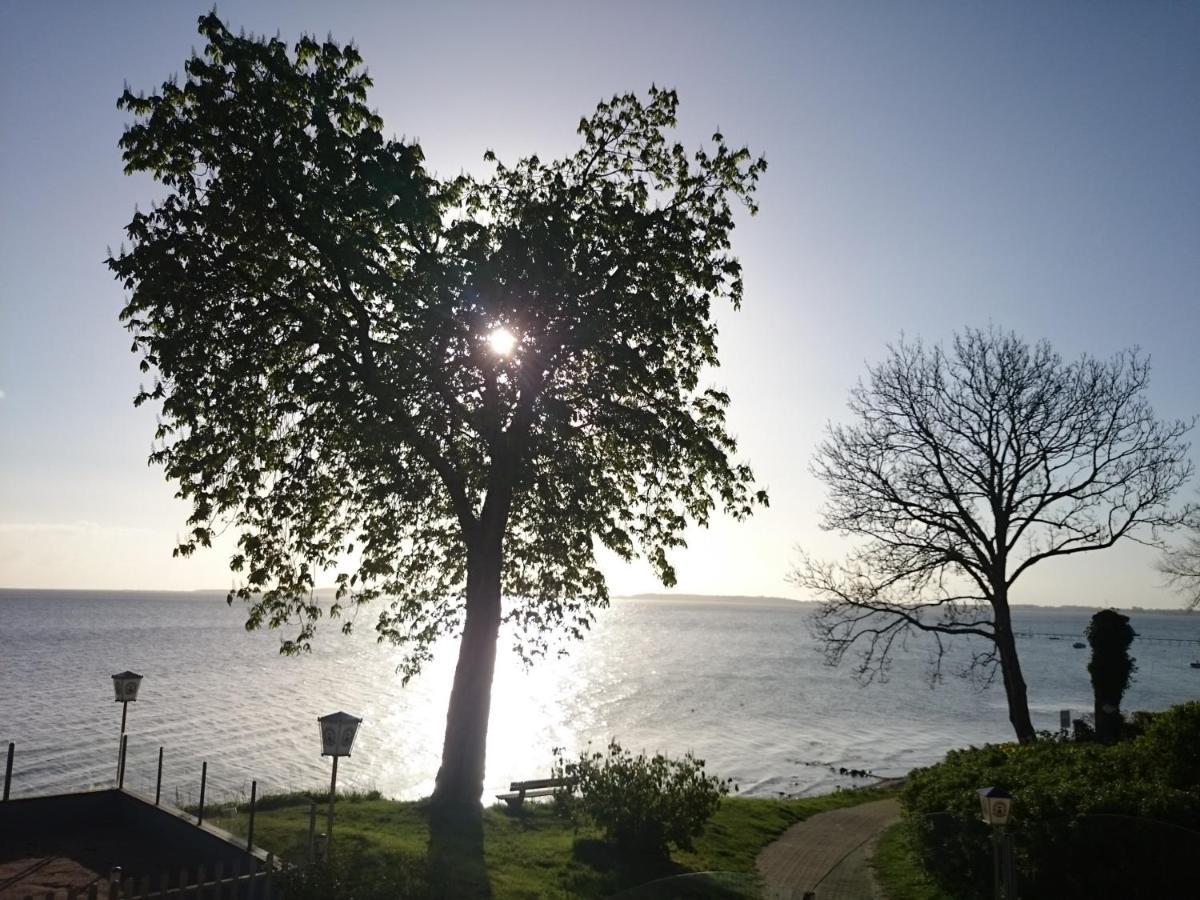Strandappartement Steinberghaff "Farborg" Mit Meerblick Steinberg  Екстер'єр фото